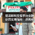 易渡数科交易平台金融处罚实用指南：选购维护与常见问题（图3）