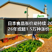 日本食品涨价潮持续 2026年或超1.5万种涨价(图1) 日本食品涨价潮持续 2026年或超1.5万种涨价(图1)